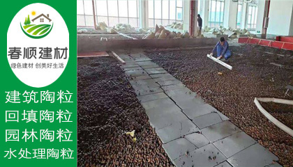 江西濾料廠家供應水處理沉水生物陶粒 輕質(zhì)粘土陶粒　